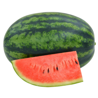 Mannat-2 Watermelon From Known You Seed (India)-KYI